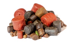 Pellet Pellet